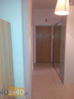 Mieszkanie do wynajęcia, pokoje: 3, cena: 750,00 PLN, Katowice, kontakt: PL +48 691 324 007