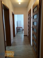 Mieszkanie do wynajęcia, pokoje: 5, cena: 1 200,00 PLN, Płońsk, kontakt: PL +48 660 900 300