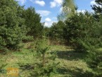 Działka na sprzedaż, 900 m2, cena: 207 000,00 PLN, Bobrowiec, kontakt: PL +48 601 330 070