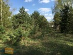 Działka na sprzedaż, 900 m2, cena: 207 000,00 PLN, Bobrowiec, kontakt: PL +48 601 330 070