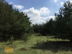 Działka na sprzedaż, 900 m2, cena: 207 000,00 PLN, Bobrowiec, kontakt: PL +48 601 330 070