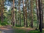 Działka na sprzedaż, 1855 m2, cena: 252 000,00 PLN, Purda, kontakt: PL +48 667 997 744