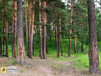Działka na sprzedaż, 1855 m2, cena: 252 000,00 PLN, Purda, kontakt: PL +48 667 997 744