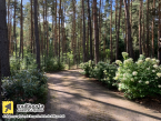 Dom do wynajęcia, powierzchnia: 240 m2, pokoje: 3, cena: 11 500,00 PLN, Otwock, kontakt: PL +48 506 060 291