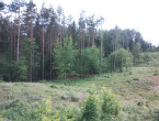 Działka na sprzedaż, 1855 m2, cena: 252 000,00 PLN, Purda, kontakt: PL +48 667 997 744