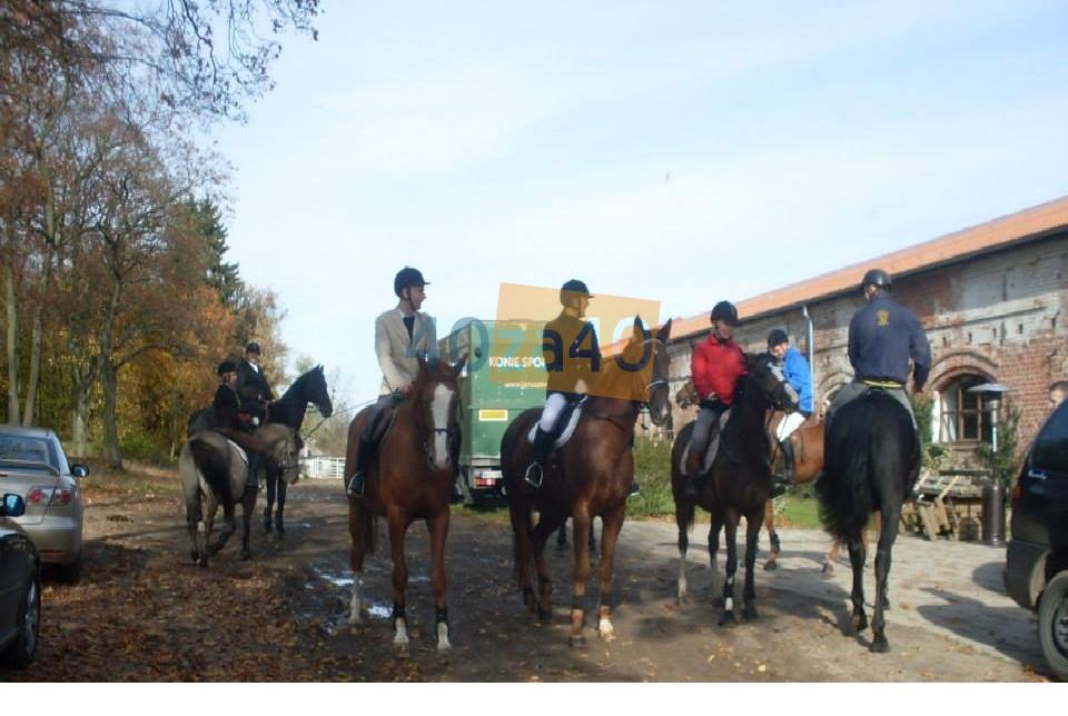 Dom na sprzedaż, powierzchnia: 200 m2, pokoje: 5, cena: 280 000,00 PLN, kontakt: 608397503