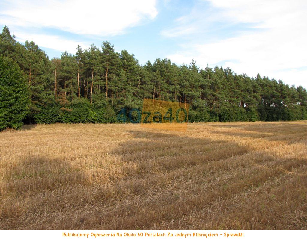 Działka na sprzedaż, 1000 m2, cena: 30 000,00 PLN, Osiek Górny, kontakt: 886979300