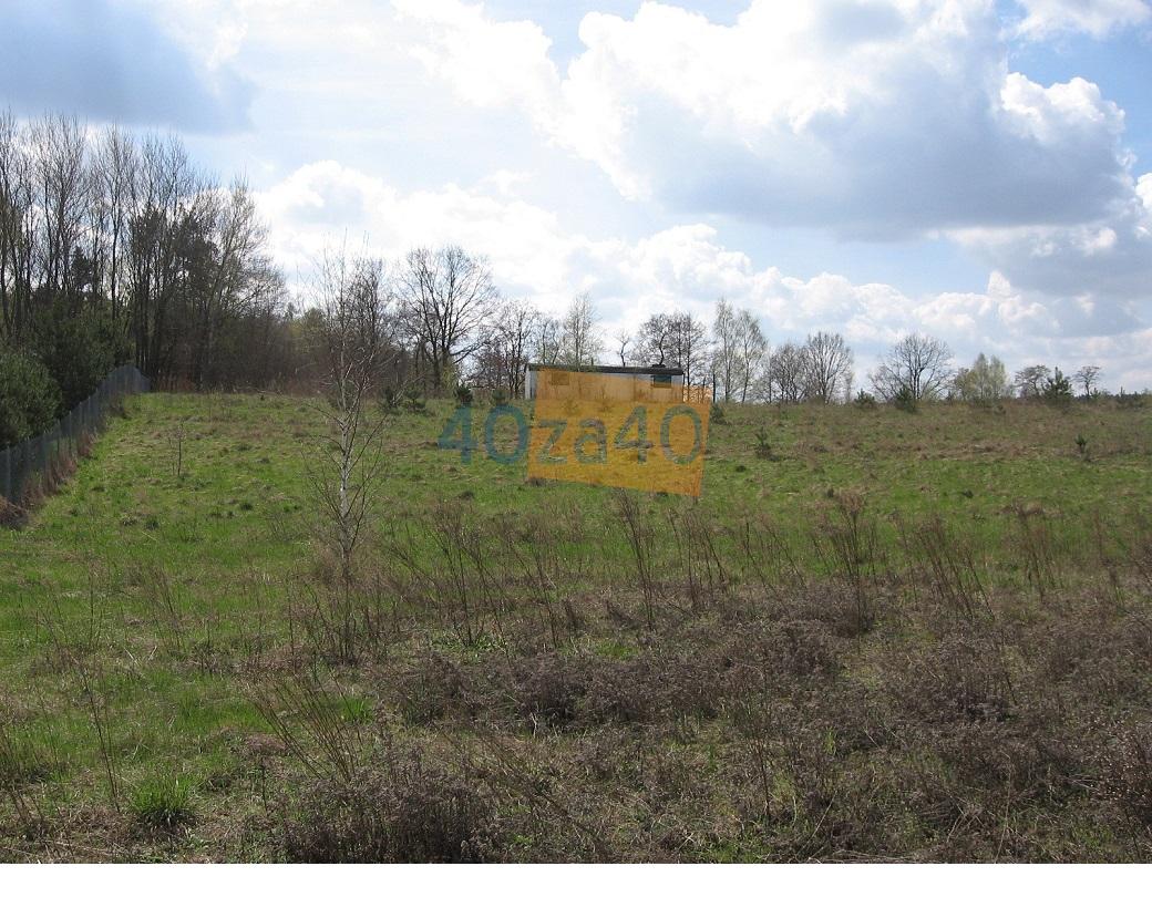 Działka na sprzedaż, 10000 m2, cena: 100 000,00 PLN, Grabie, kontakt: 601612107