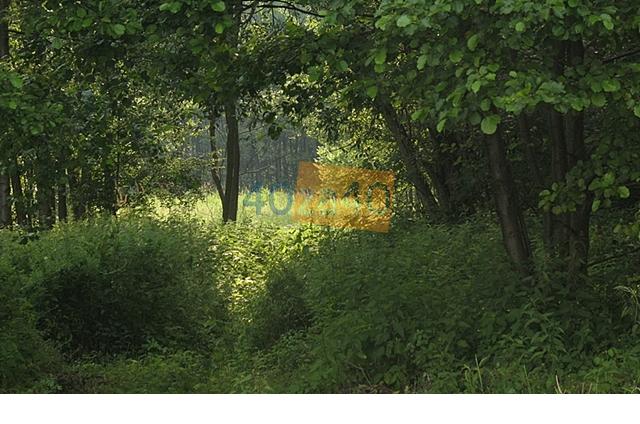 Działka na sprzedaż, 1050 m2, cena: 69 000,00 PLN, Łącza, kontakt: 601 066 899