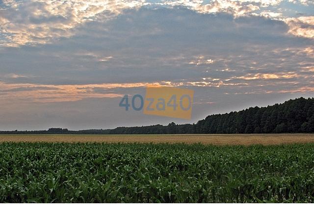 Działka na sprzedaż, 1050 m2, cena: 69 000,00 PLN, Łącza, kontakt: 601 066 899
