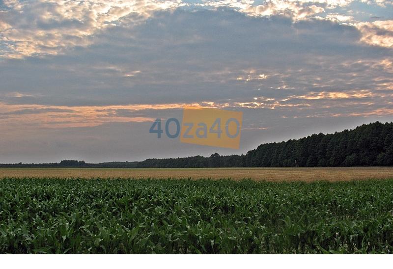 Działka na sprzedaż, 1050 m2, cena: 69 000,00 PLN, Łącza, kontakt: 601 066 899