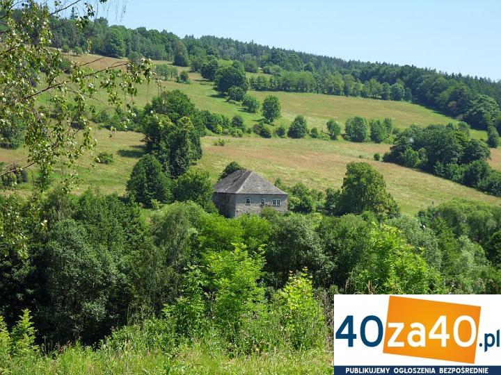 Działka na sprzedaż, 13600 m2, cena: 204 000,00 PLN, Włodowice, kontakt: 601598272