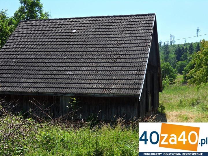 Działka na sprzedaż, 13600 m2, cena: 204 000,00 PLN, Włodowice, kontakt: 601598272