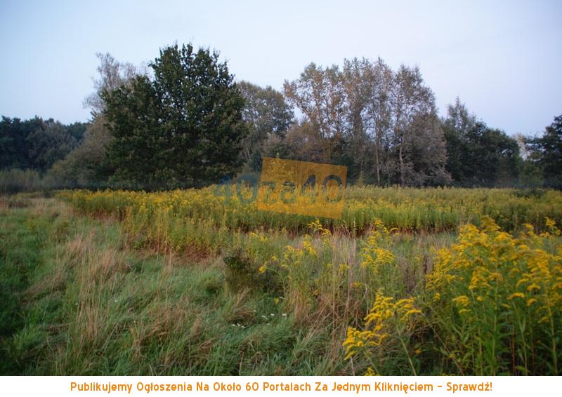 Działka na sprzedaż, 18400 m2, cena: 329 000,00 PLN, Wólka Dworska, kontakt: 601372777