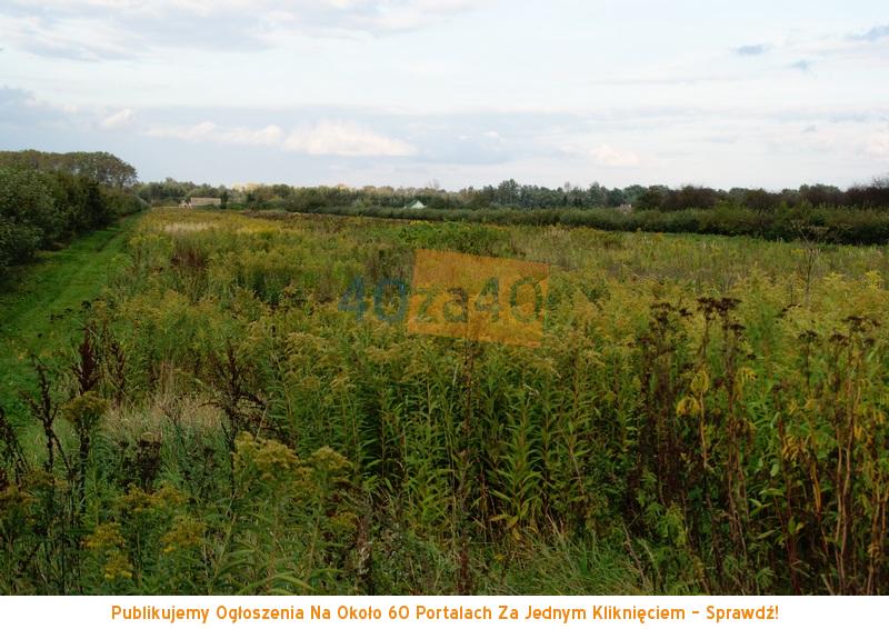 Działka na sprzedaż, 18400 m2, cena: 329 000,00 PLN, Wólka Dworska, kontakt: 601372777