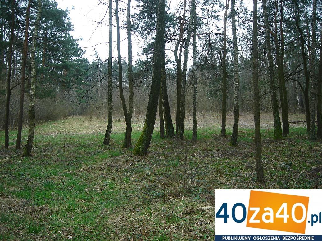 Działka na sprzedaż, 2000 m2, cena: 160 000,00 PLN, kontakt: 605278809