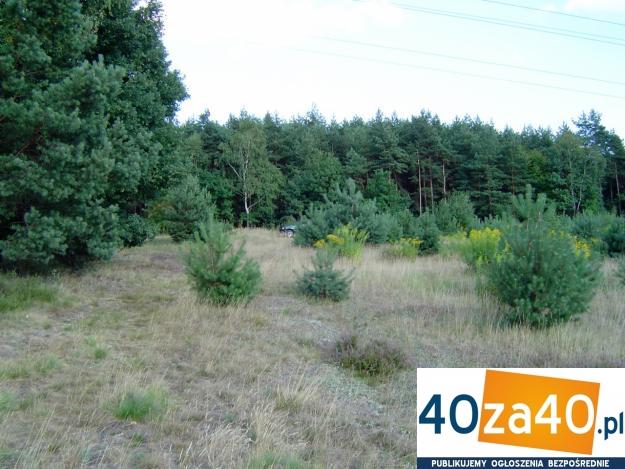 Działka na sprzedaż, 2627 m2, cena: 224 000,00 PLN, Rybnik, kontakt: 502552681