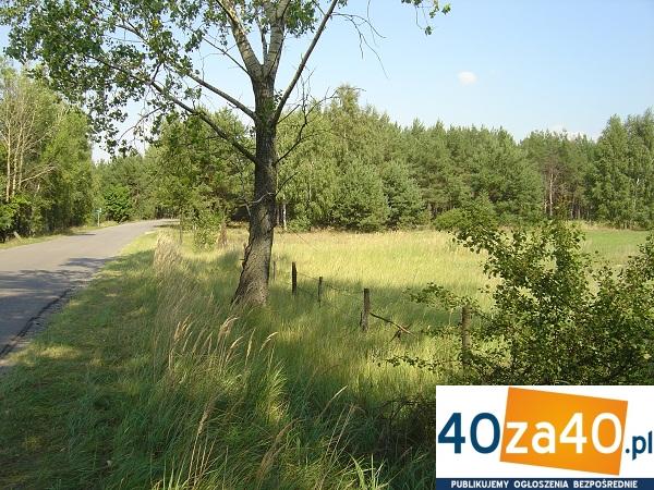 Działka na sprzedaż, 2800 m2, cena: 320 000,00 PLN, Ostrówek, kontakt: 507006995