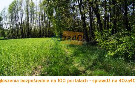 Działka na sprzedaż, 3000 m2, cena: 45 000,00 PLN, Goszczyce Średnie, kontakt: 600999650