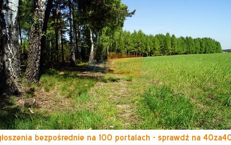 Działka na sprzedaż, 3000 m2, cena: 45 000,00 PLN, Goszczyce Średnie, kontakt: 600999650