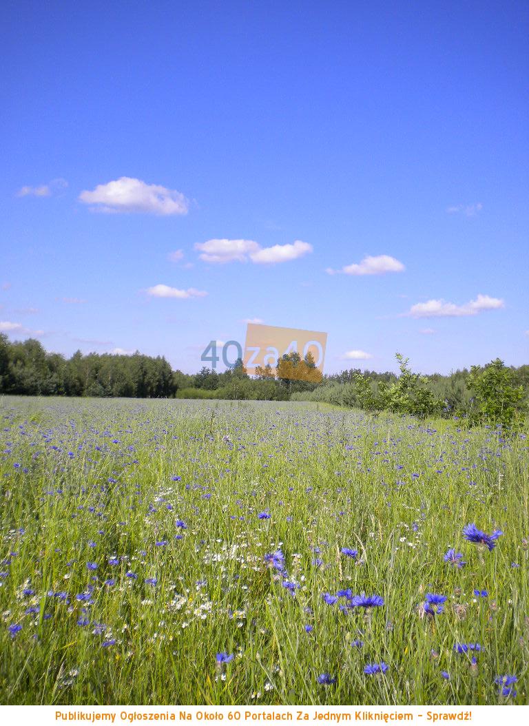 Działka na sprzedaż, 3012 m2, cena: 50 000,00 PLN, Głowaczów, kontakt: 502244760