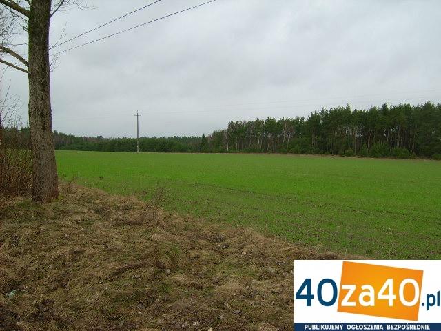 Działka na sprzedaż, 3100 m2, cena: 86 900,00 PLN, Kamień Krajeński, kontakt: 668148475