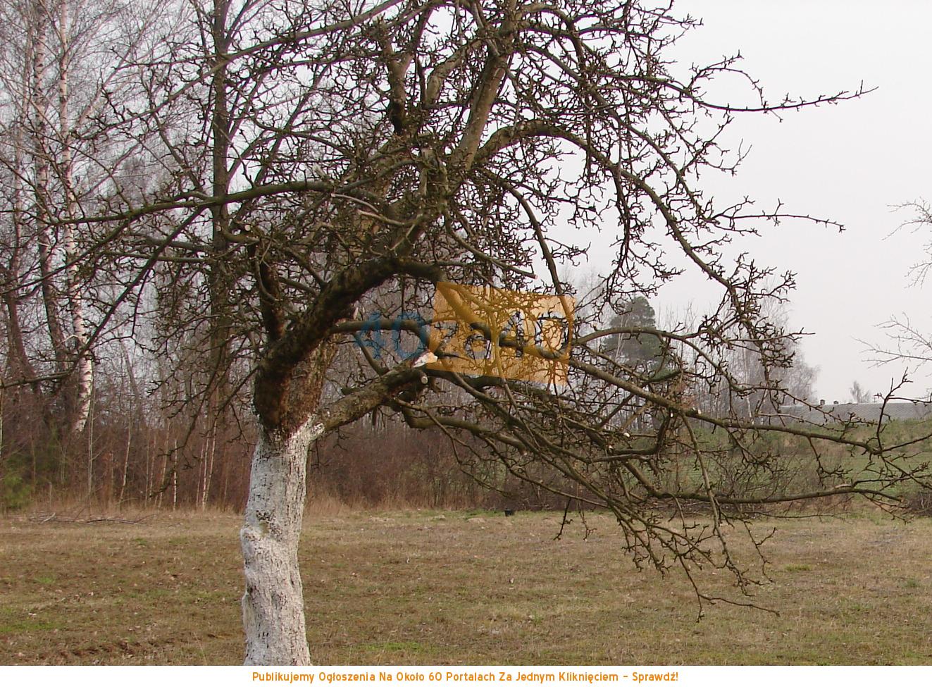 Działka na sprzedaż, 3300 m2, cena: 145 000,00 PLN, Dobre, kontakt: 502253972