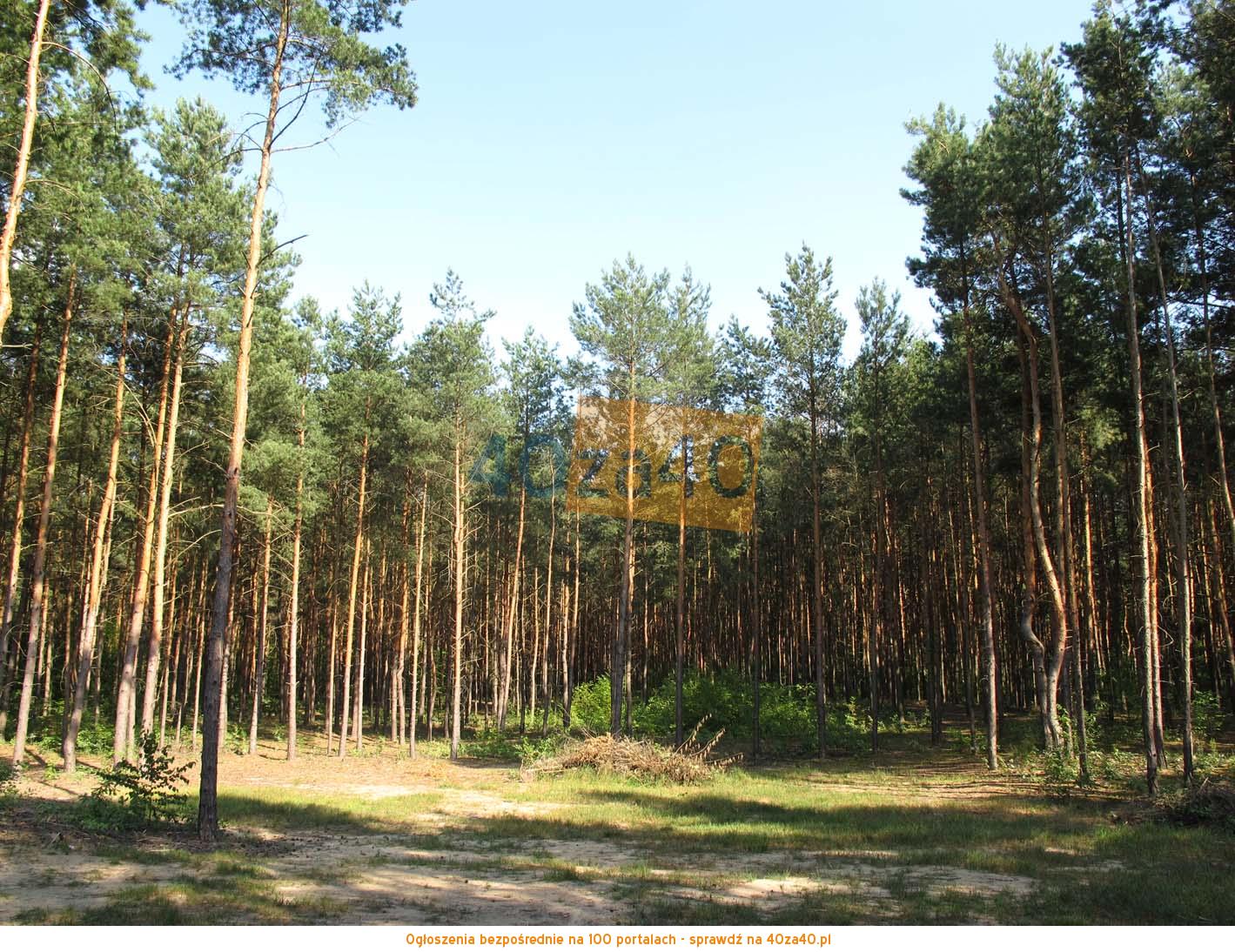 Działka na sprzedaż, 3500 m2, cena: 780 000,00 PLN, Milanówek, kontakt: 48501333655,48695894357