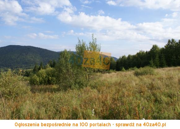 Działka na sprzedaż, 3540 m2, cena: 85 000,00 PLN, Przysłup, kontakt: 00353852883678