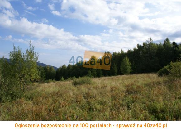 Działka na sprzedaż, 3540 m2, cena: 85 000,00 PLN, Przysłup, kontakt: 00353852883678