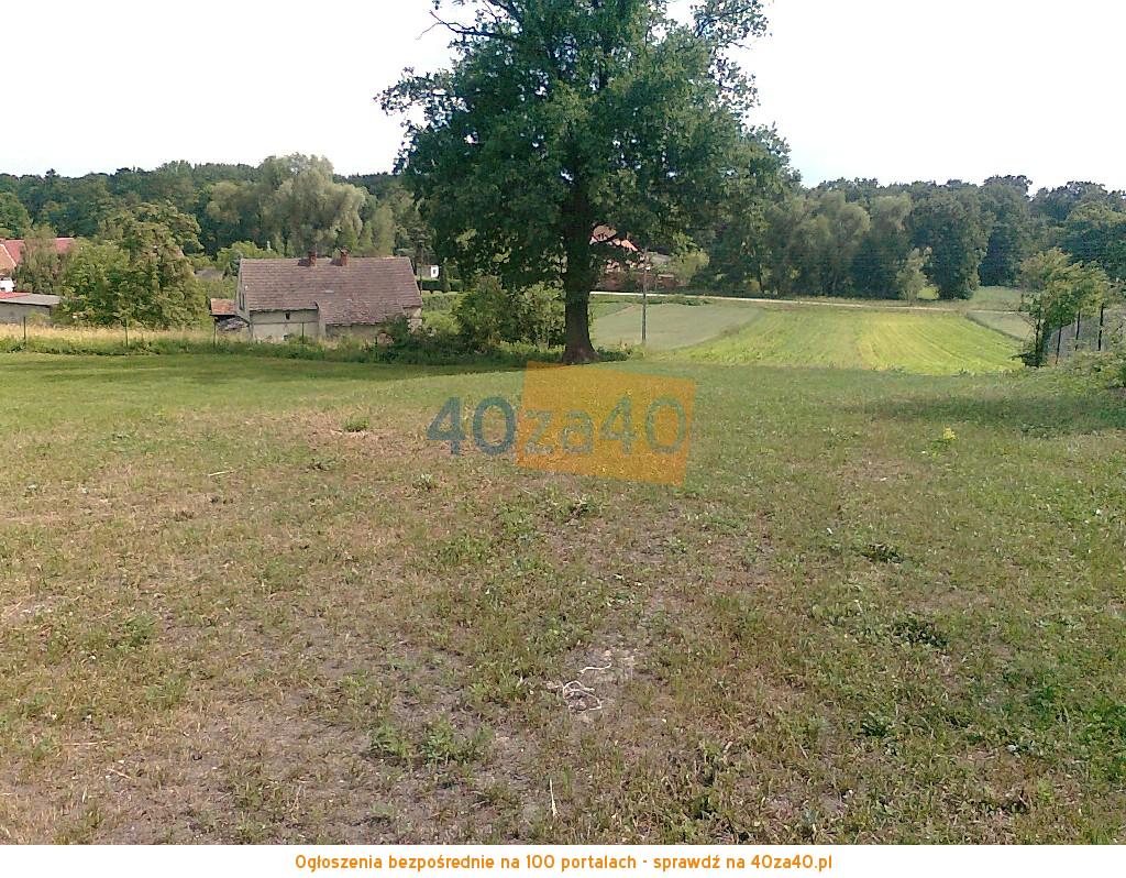 Działka na sprzedaż, 4600 m2, cena: 110 400,00 PLN, Wyszonowice, kontakt: 692471877