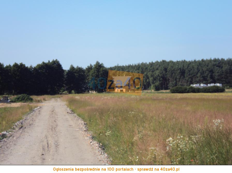 Działka na sprzedaż, 500 m2, cena: 49 500,00 PLN, Cerekwica, kontakt: 793213146
