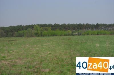 Działka na sprzedaż, 58600 m2, cena: 880 000,00 PLN, Chinów, kontakt: 511867588