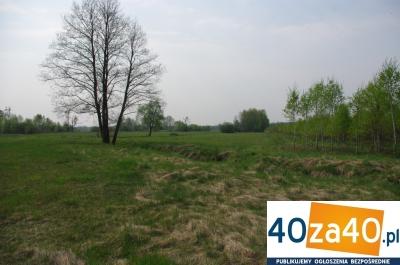 Działka na sprzedaż, 58600 m2, cena: 880 000,00 PLN, Chinów, kontakt: 511867588