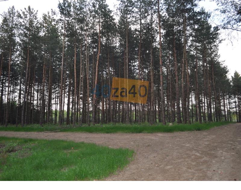 Działka na sprzedaż, 812 m2, cena: 49 800,00 PLN, Osieczek, kontakt: 606 620 907