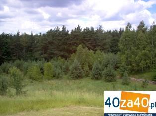 Działka na sprzedaż, 8900 m2, cena: 1 650 000,00 PLN, Korfowe, kontakt: 602231780