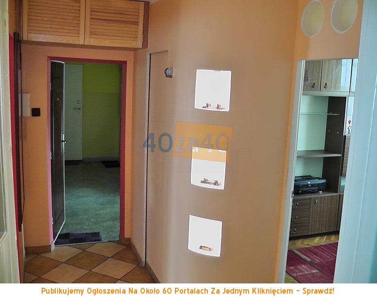 Mieszkanie do wynajęcia, pokoje: 3, cena: 777,00 PLN, Legnica, kontakt: 668776651