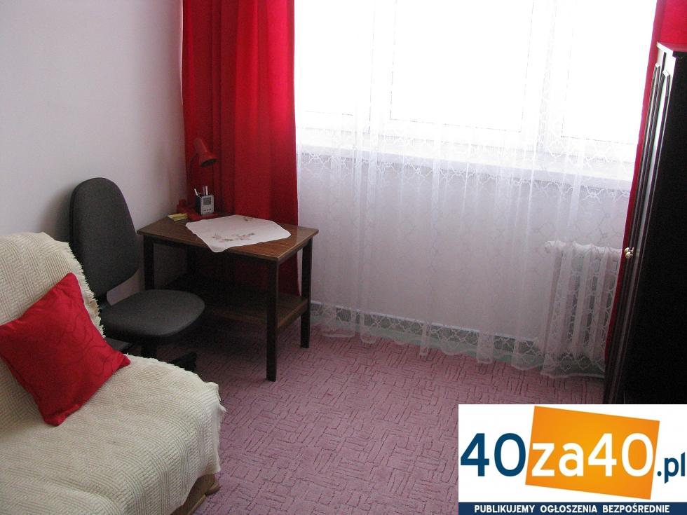 Mieszkanie do wynajęcia, pokoje: 3, cena: 790,00 PLN, Legnica, kontakt: 668776651